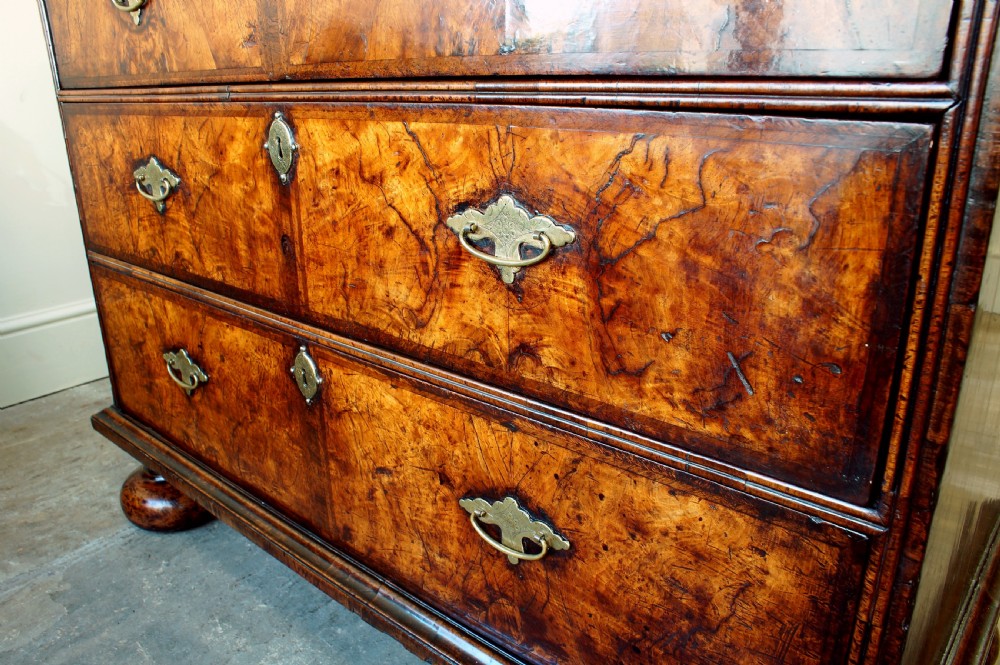 An early eighteenth-century burr walnut cabinet on chest featuring double upper doors with brass strap hinges above four graduated drawers, resting on turned bun feet. View XIX