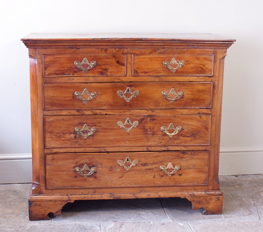 An 18th-century Georgian chest of drawers crafted from highly figured warm honey-toned yew wood with two short drawers over three long drawers and brass batwing handles.