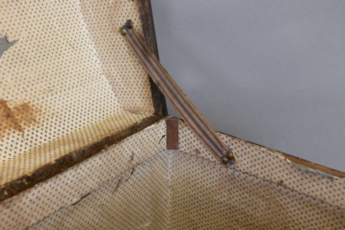 HIDE TRUNK - ADDITIONAL PHOTO 3