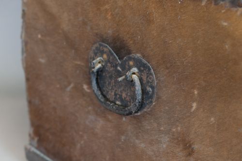 HIDE TRUNK - ADDITIONAL PHOTO 4