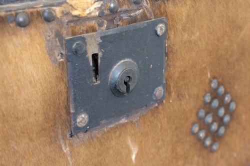HIDE TRUNK - ADDITIONAL PHOTO 7