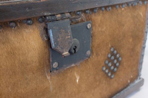HIDE TRUNK - ADDITIONAL PHOTO 8