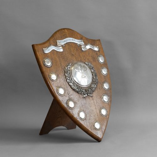 Darts Shield