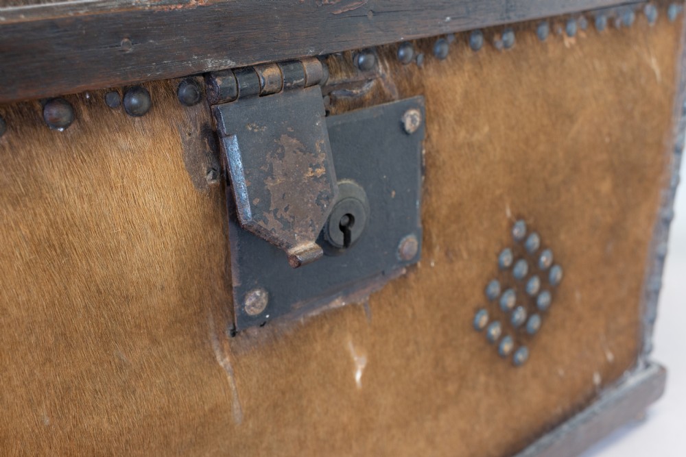 An antique domed-top storage trunk covered in natural brown hide, detailed with decorative iron studding and a central iron lockplate. View IX