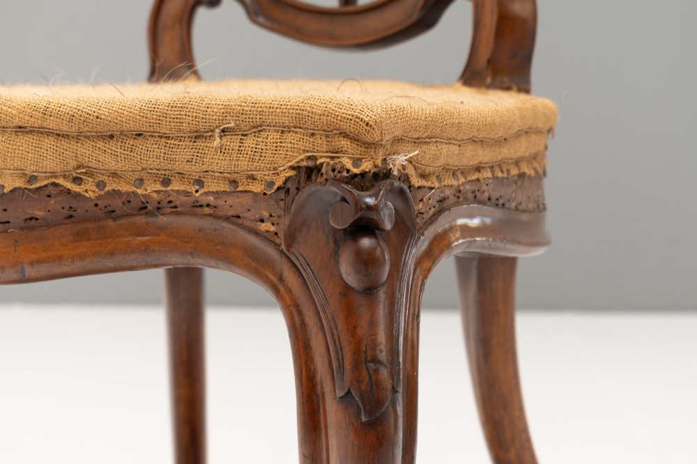 A pair of antique Victorian Rococo Revival carved timber side chairs with balloon backs, open scrollwork splats, cabriole legs, and neutral upholstery. View VI