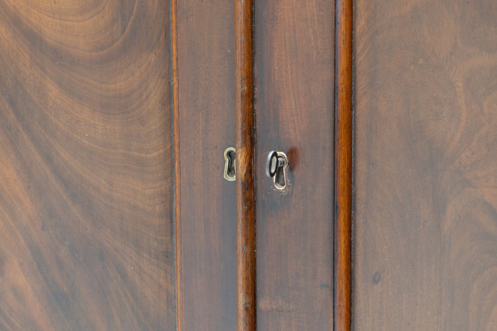 A nineteenth-century two-door flame mahogany cupboard with arched panelled doors and a moulded top cornice. View VI