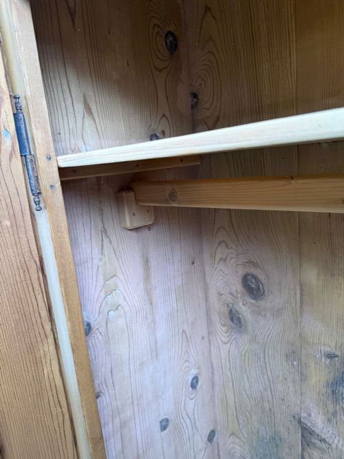 A SUPERB WAXED GENUINE HUNGARIAN GEORGIAN 1 PIECE 2 DOOR HALL WARDROBE - ADDITIONAL PHOTO 9