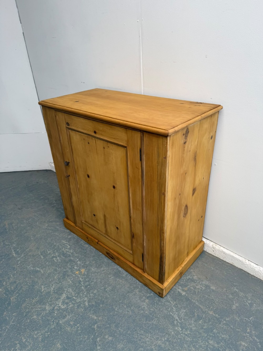 A Victorian waxed pine single-door hall cupboard featuring a panelled door, flat top surface, and plinth base.