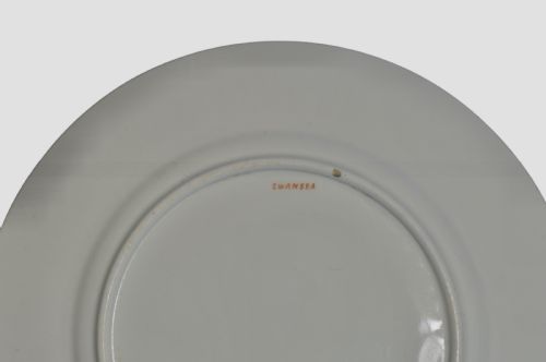 DELIGHTFUL EARLY 19TH CENTURY SWANSEA PORCELAIN PLATE - ADDITIONAL PHOTO 5