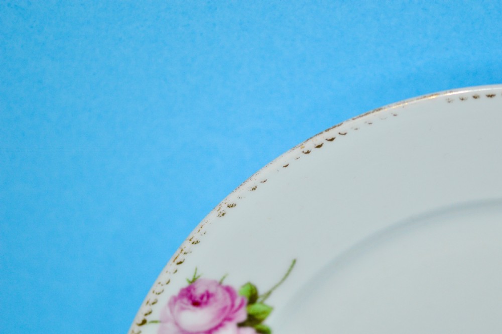 A circular white porcelain plate featuring hand-painted pink rose sprays around the border and in the centre, finished with a gilded rim. View VII