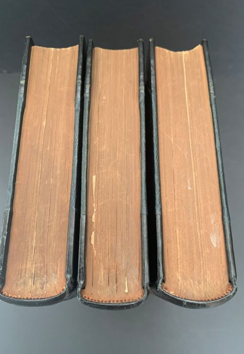 fig 1. An early Victorian 3 book set of Shakspere's Works