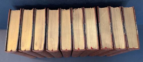 fig 1. A collection of ten matching antique tan leather-bound books standing upright with gold leaf lettering on their spines.