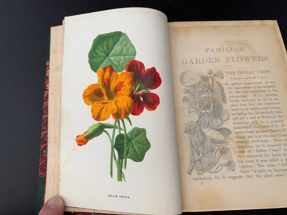 Familiar Garden Flowers complete in 5 finely bound books with some 200 colour plates circa 1880 View XI