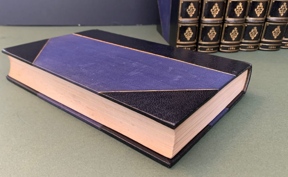 An eight-volume set of 19th-century books bound with dark leather spines, gilt lettering, raised bands, and blue cloth covers. View V