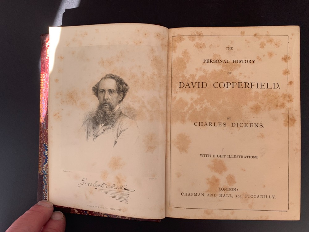 13 uniformly bound books by Charles Dickens circa 1880 View IX