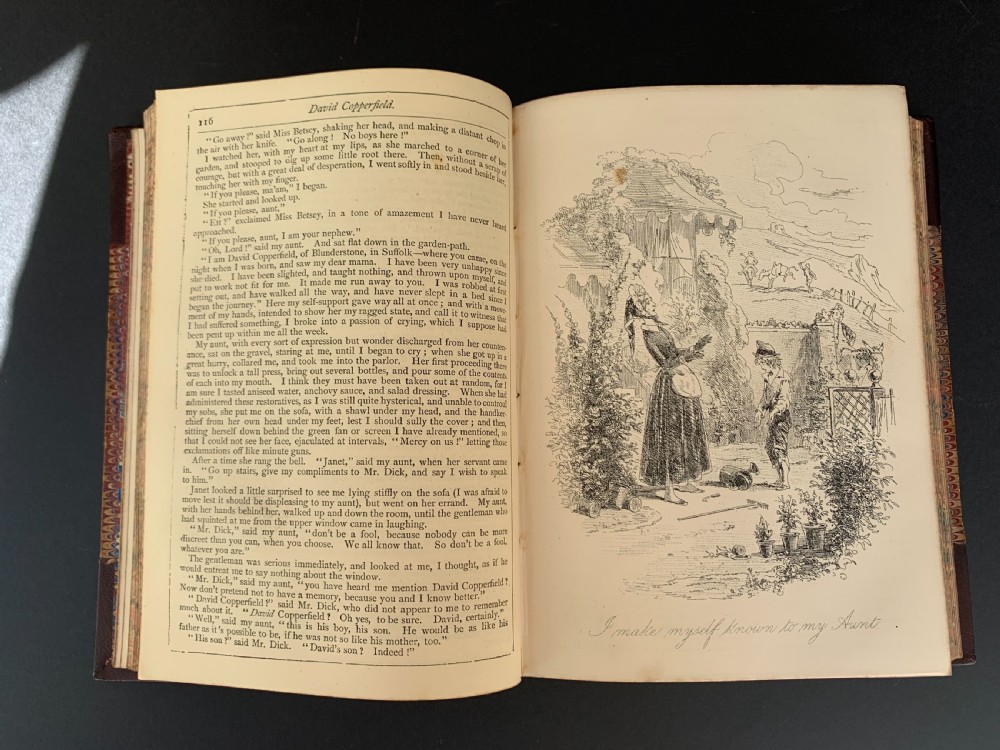 13 uniformly bound books by Charles Dickens circa 1880 View XI
