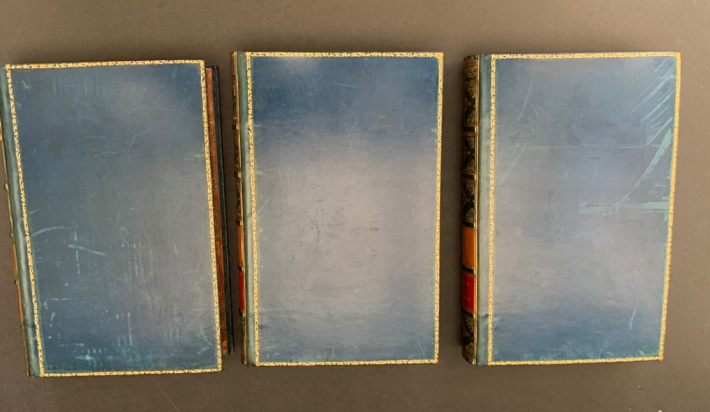 Zaehnsdorf bound French text 3 book set of The Works of Moliere circa 1880 View IV