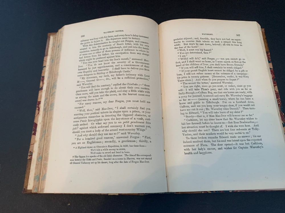 A set of ten Victorian tan leather-bound books titled Waverley Novels displayed side-by-side with gilt tooling and red and green spine labels. View XIV