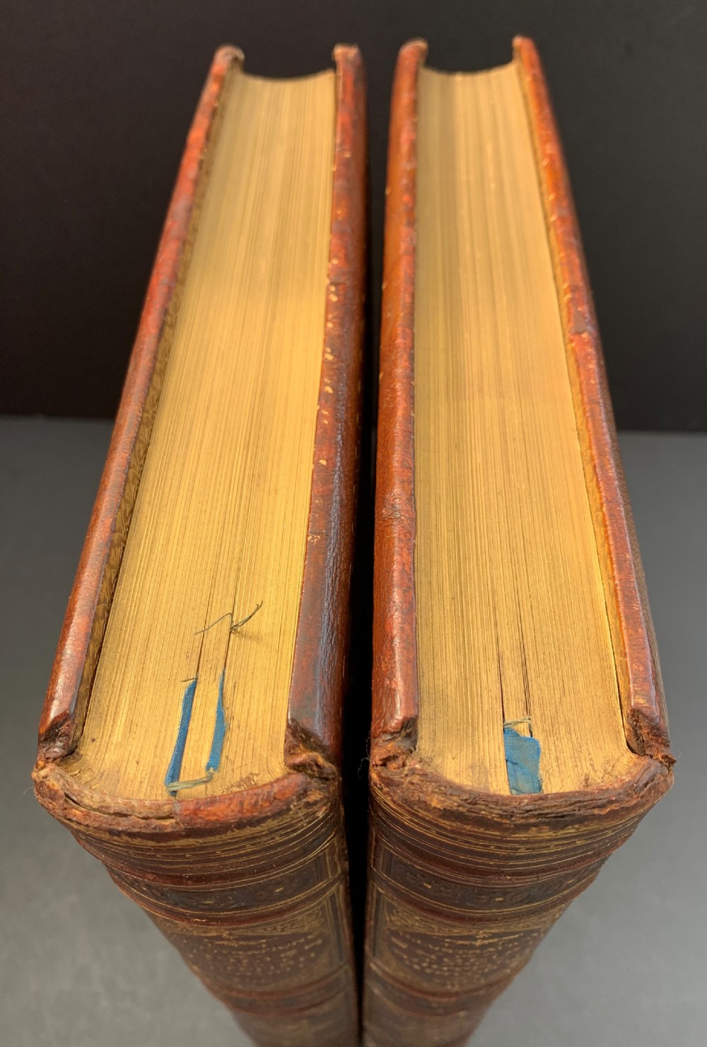 A pair of Victorian leather-bound books featuring gold leaf tooling, crest motifs, and embossed geometric patterns on the brown boards and spines. View V