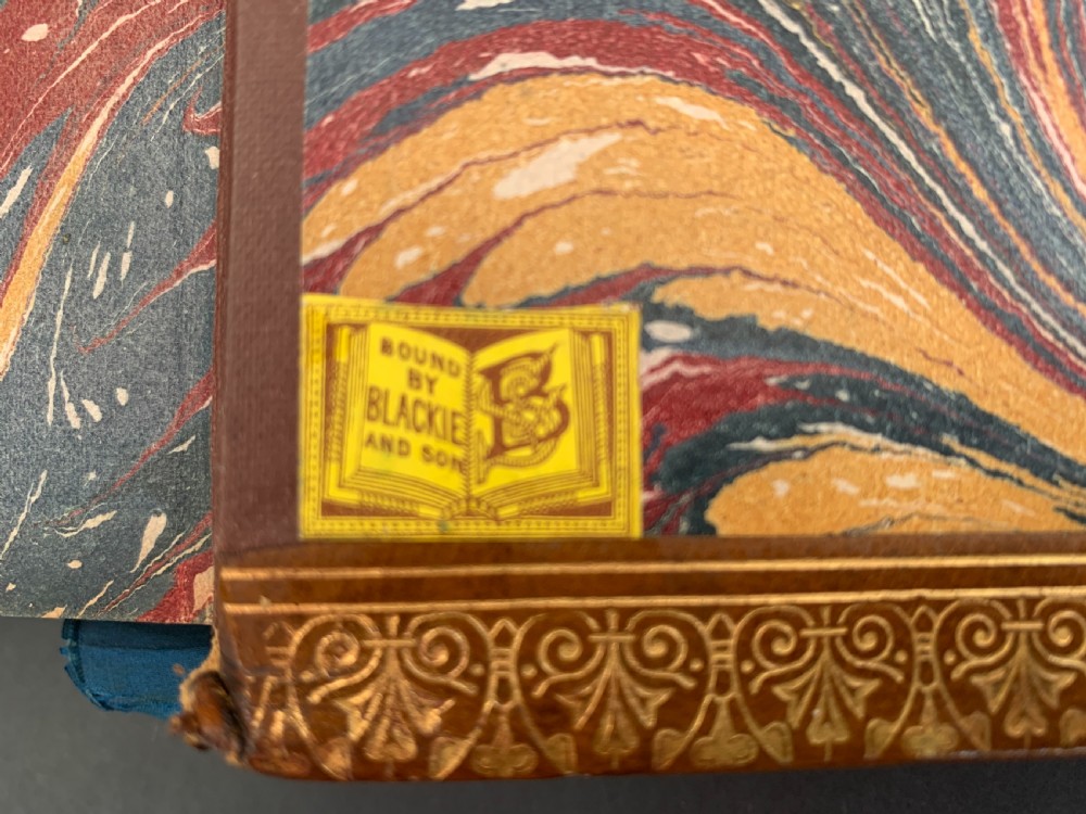 A pair of Victorian leather-bound books featuring gold leaf tooling, crest motifs, and embossed geometric patterns on the brown boards and spines. View VIII