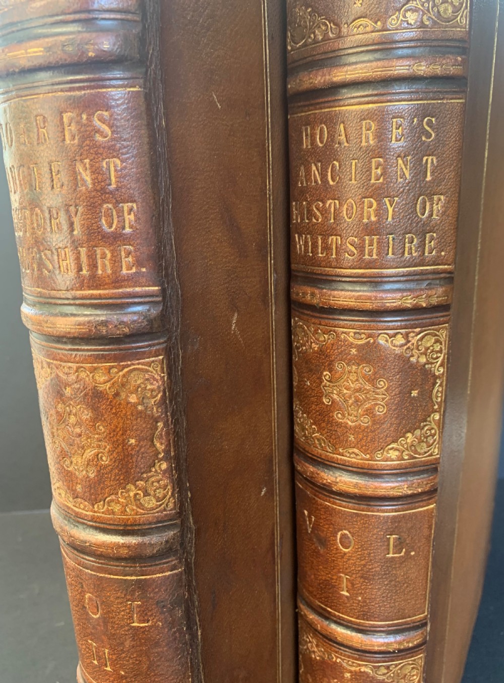 Regency period 2 book elephant folio 1st Edition set of Sir William Colt Hoare's Ancient History of Wiltshire with numerous full page engraved plates View II