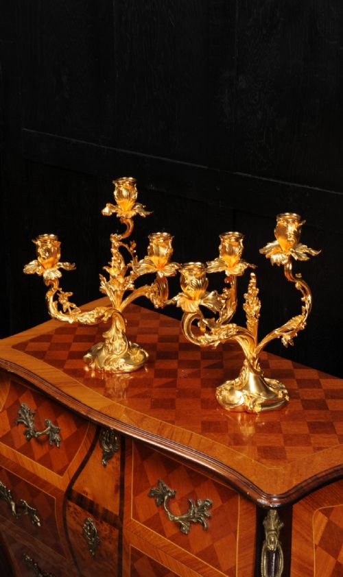Antique French Louis Xv Ormolu Rococo Candelabra After Meissonnier