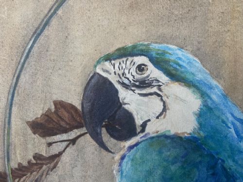 AN EDWARDIAN WATERCOLOUR OF A PARROT - ADDITIONAL PHOTO 1