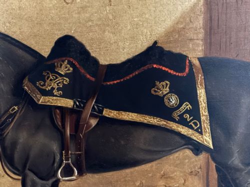 PORTRAIT OF THE HORSE 'BALMORAL - ADDITIONAL PHOTO 2
