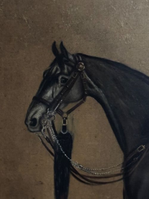 PORTRAIT OF THE HORSE 'BALMORAL - ADDITIONAL PHOTO 1