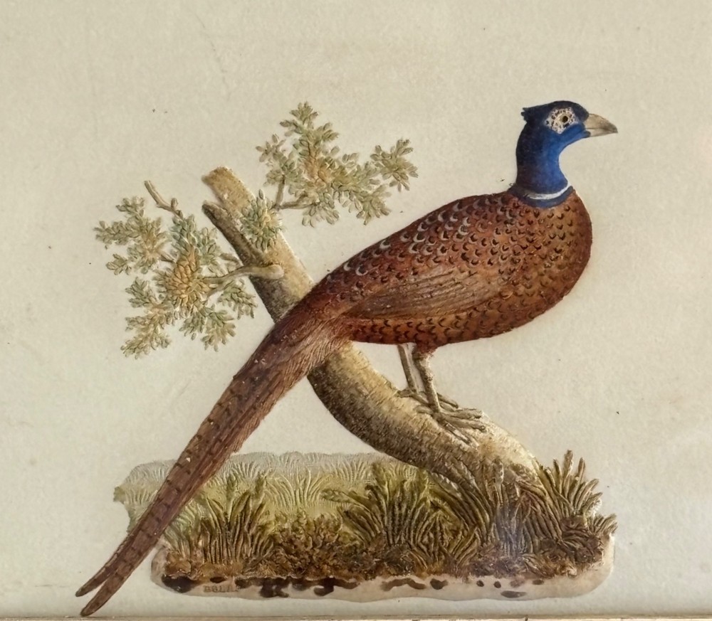 A framed 18th-century basso-rilievo artwork depicting a colourful pheasant perched on a branch within a wide maple veneer frame. View II