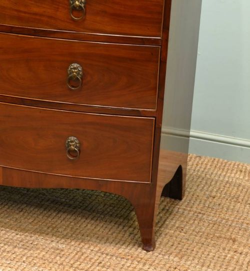 fig 1. Regency Neoclassical Bow Fronted Mahogany Antique Chest of Drawers.