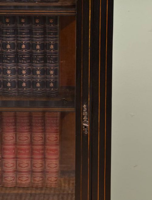 fig 2. Ebonised Victorian Antique Display Cabinet.