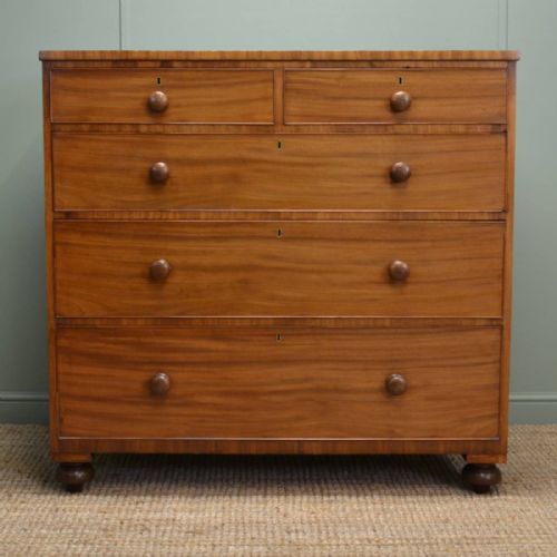 Large Regency Mellow Mahogany Antique Chest of Drawers