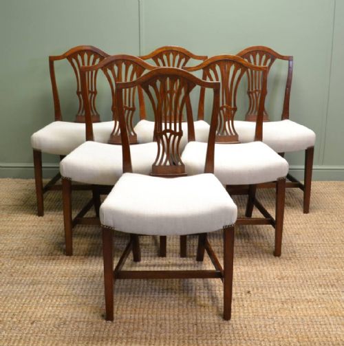 Set of Six Georgian Mahogany Hepplewhite Design Antique Dining Chairs