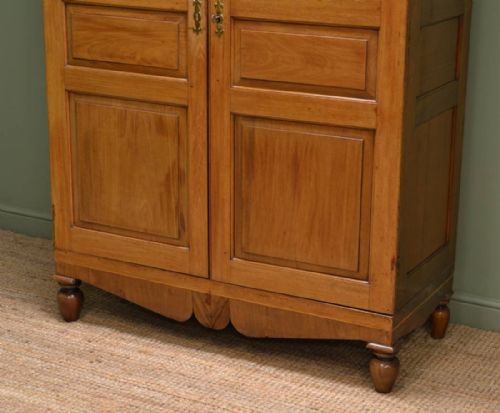 fig 1. Georgian Mellow Mahogany Antique Double Wardrobe