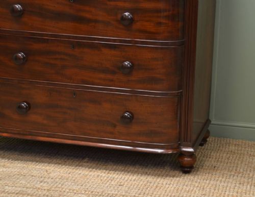 fig 1. Large Antique Bow Fronted Mahogany Victorian Chest of Drawers