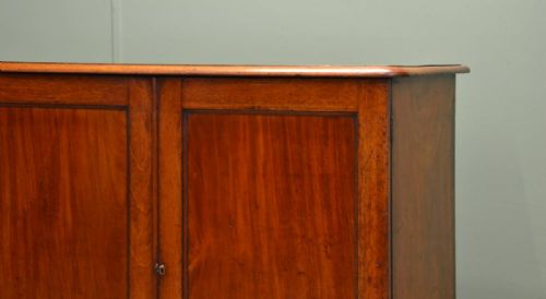 fig 2. Victorian Mahogany Antique Cupboard