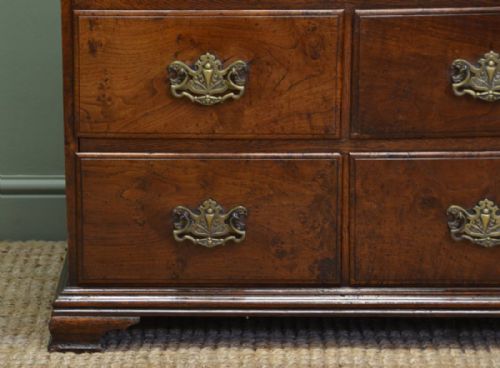 fig 1. Rare Small Solid 'Burr' Pollard Oak Antique Chest Of Drawers