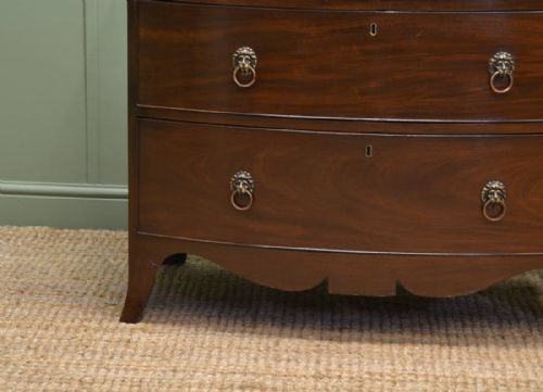 fig 1. Fine Regency Mahogany Antique Bow Fronted Chest of Drawers with Lion Head Handles.