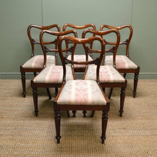Stunning Quality Set of Six William IV Mahogany Antique Balloon Back Chairs