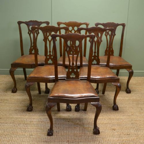 Set of Six Chippendale Design Edwardian Oak Dining Chairs