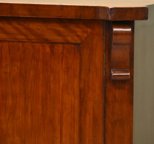 fig 3. Antique Satin Birch Victorian Cupboard