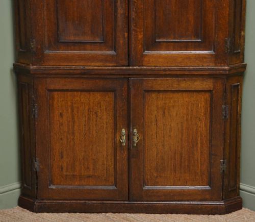 fig 1. Georgian Country Oak Antique Floor Standing Cupboard