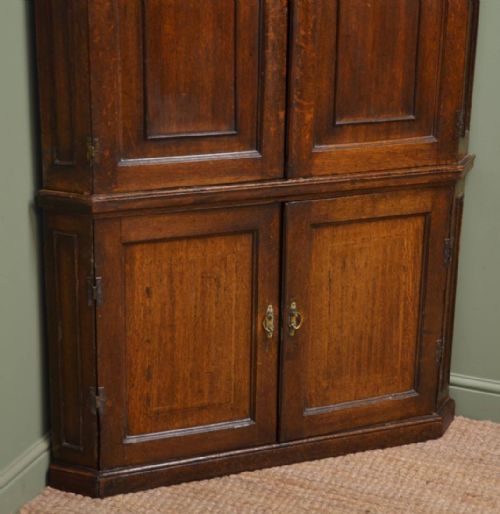 fig 2. Georgian Country Oak Antique Floor Standing Cupboard