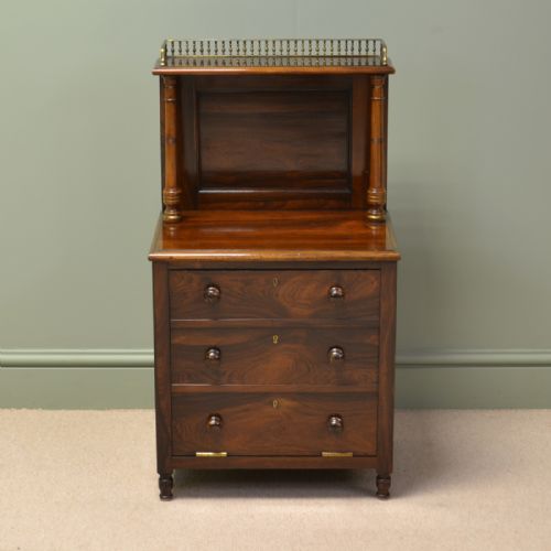 Rare Antique Rosewood Victorian Coal Purdonium.