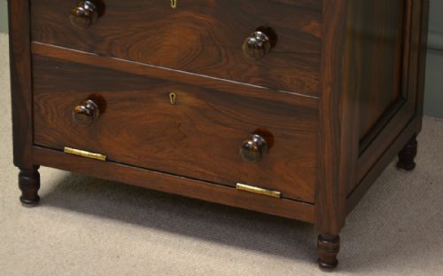 fig 1. Rare Antique Rosewood Victorian Coal Purdonium.