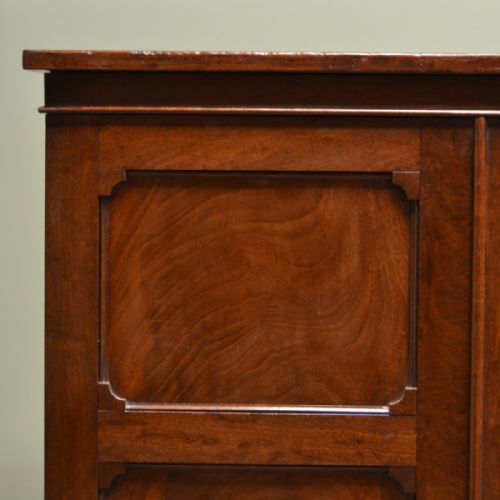 fig 1. Characterful Regency Antique Figured Mahogany Small Cupboard