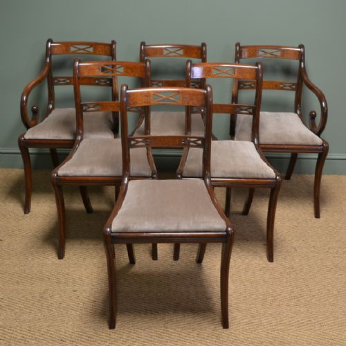 Elegant Regency Design Mahogany Double Sabre Leg Set of 6 Antique Dining Chairs