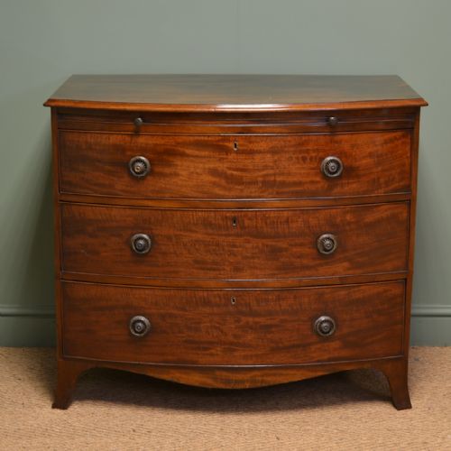 Spectacular Small Bow Fronted Antique Regency Chest of Drawers with Brushing Slide