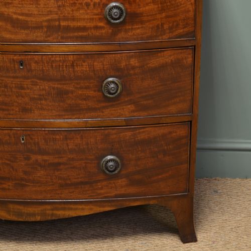 fig 1. Spectacular Small Bow Fronted Antique Regency Chest Of Drawers with Brushing Slide